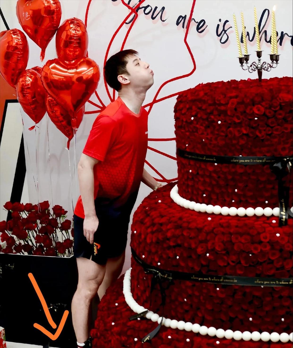 德国乒乓球队险胜波兰乒乓球队，张继科统治全场的简单介绍