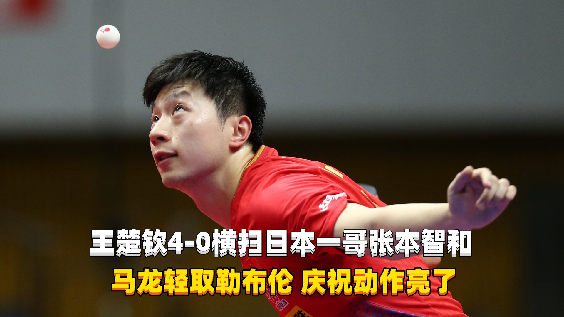 日本队轻取波兰队，王皓统治全场