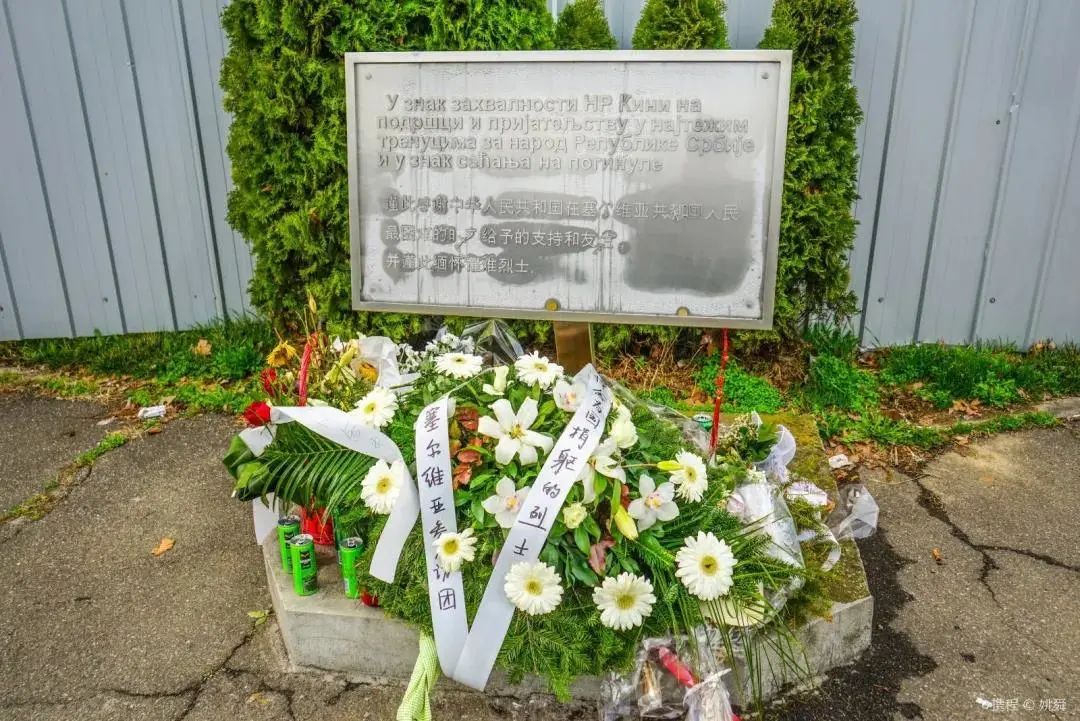 塞尔维亚队再获好成绩,实力备受认可 塞尔维亚队再获好成绩,实力备受认可