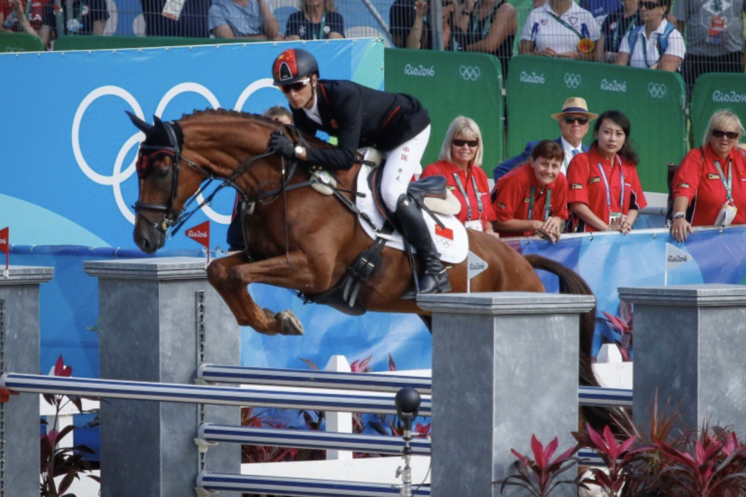 包含马术比赛选手骑术高超，出类拔萃的词条