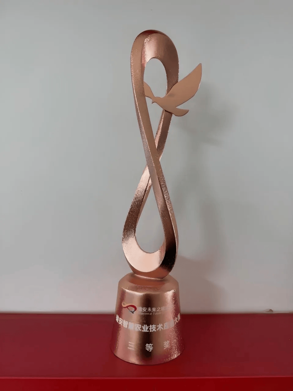 拼图比赛冠军产生，技艺卓绝