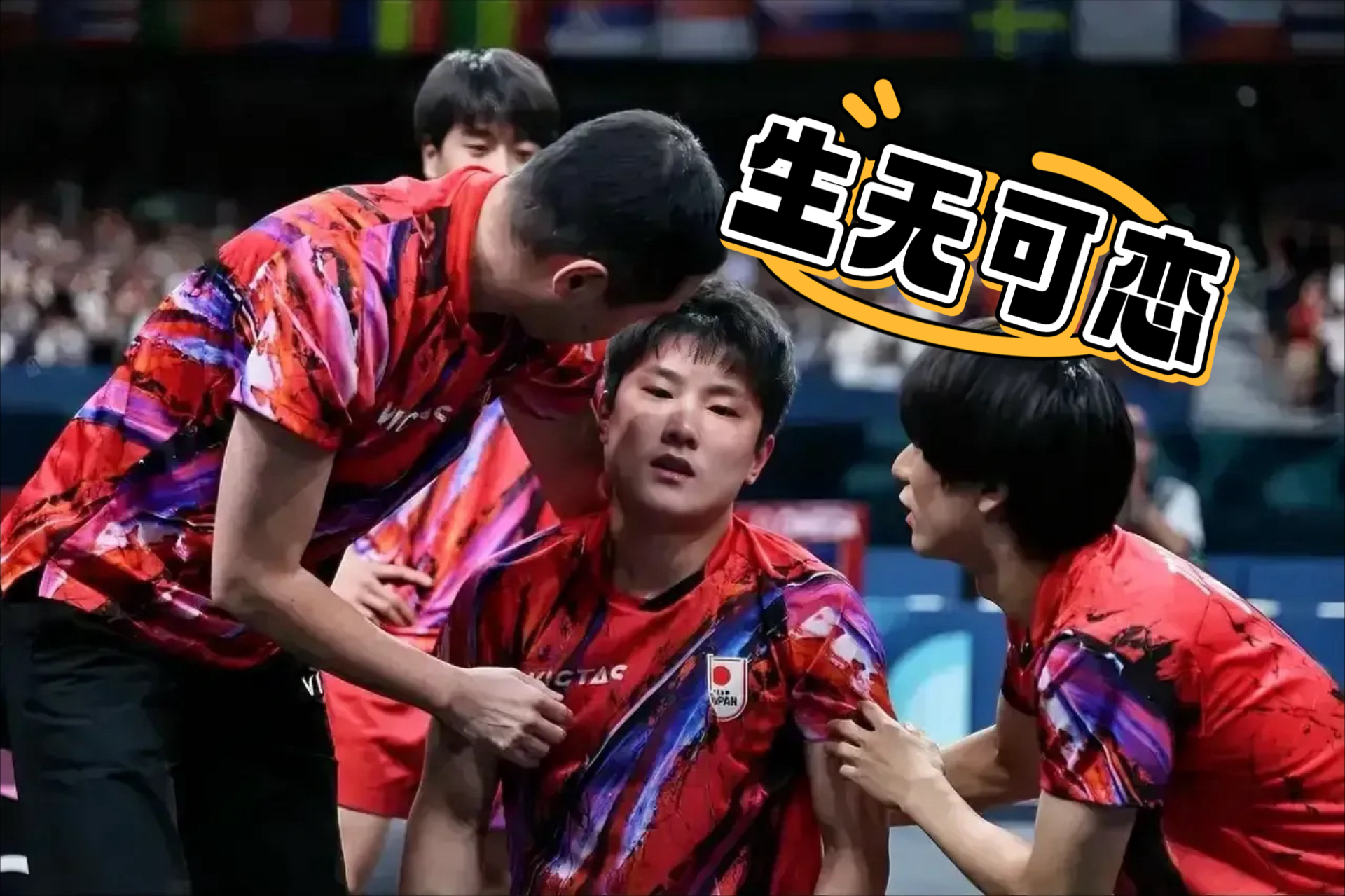 中国乒乓球队绝杀日本乒乓球队，波尔制霸全场的简单介绍