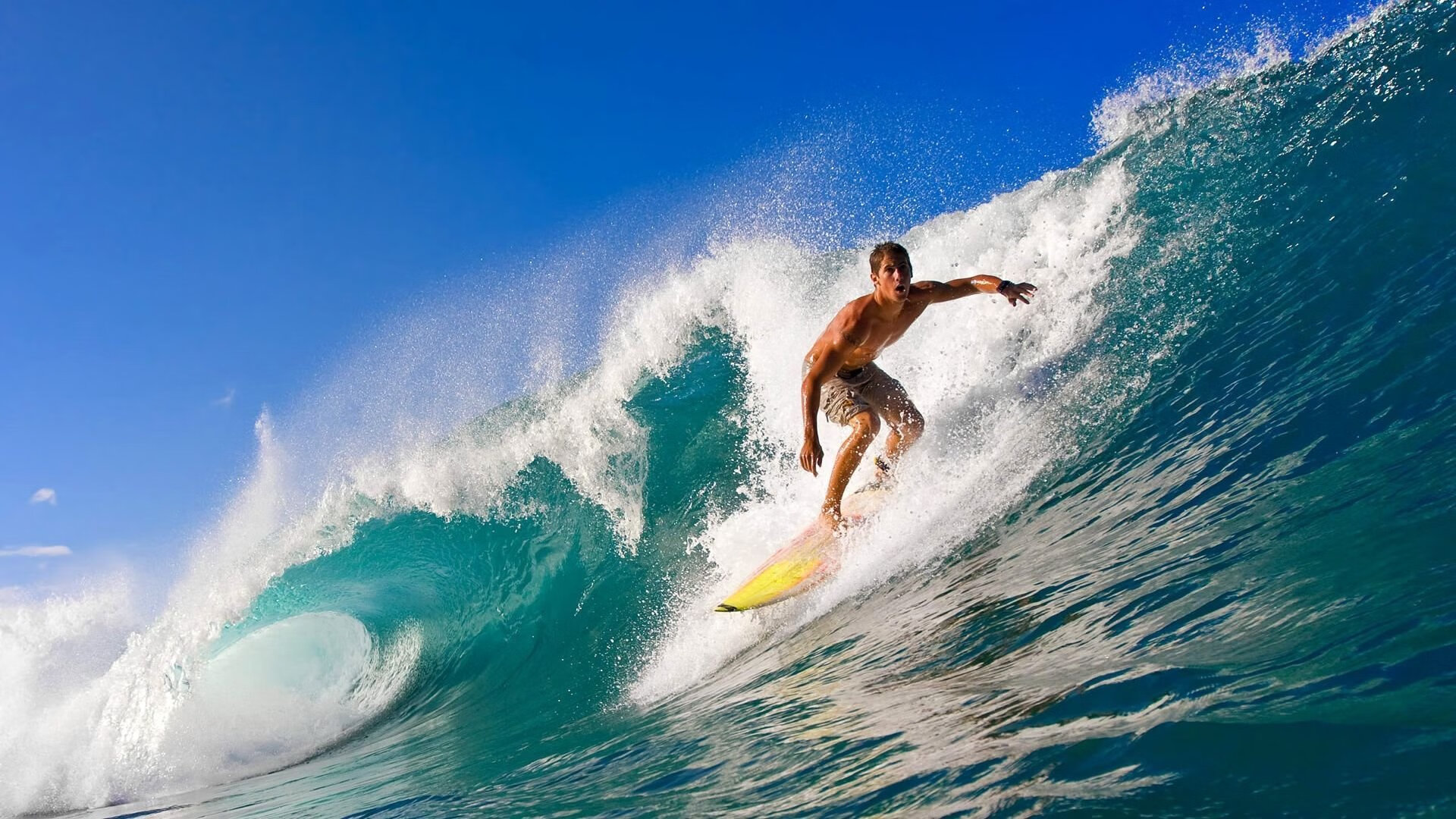 戈贝尔用实力证明自己,吉林队碾压篮网