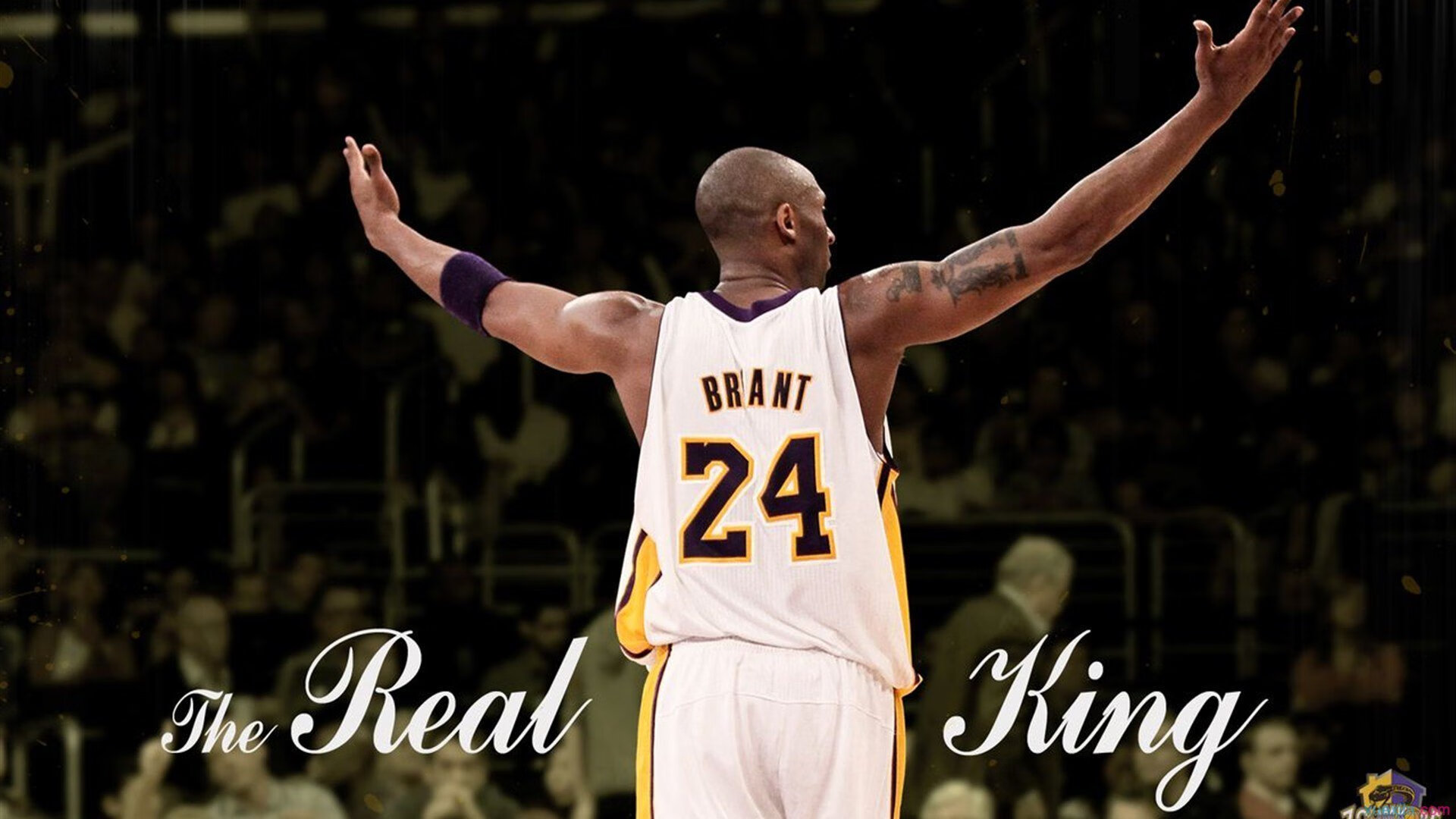 广东队对阵尼克斯,米切尔存在感拉满,一场跨越篮球文化的对话